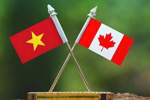资料图：越南与加拿大国旗。图自互联网。