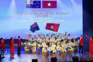 越南与新西兰建交50周年纪念活动。图自越通社