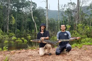 黄忠通与阮清平配合职能力量将这只水巨蜥个体放归森林。