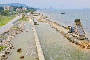 清化省加紧推进各条薄弱堤防工程的施工进度。图自越通社