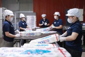 越南造纸企业推进流程标准化以满足美国市场需求。图自越通社
