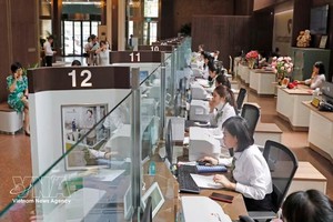 没有任何一个发达经济体的大部分中长期资金主要依赖商业银行。图自越通社