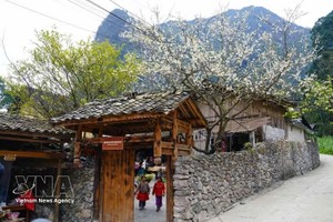 宣光省倮倮族同胞的村庄。图自越通社