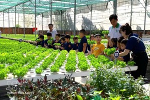 附图：在胡志明市端玉农业合作社参观高科技蔬菜种植模式。图自越通社