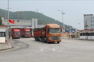 在谅山省芝麻口岸通关的进出口车辆。图：阮光维/越通社
