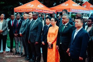 参加在莫桑比克举行的越南社会主义共和国成立81周年庆祝活动的代表们。图自越通社