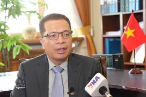 越南驻俄罗斯联邦大使邓明魁。图自越通社