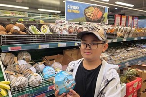 农产品出口在经济中起着作用日益重要，年均出口额达数百亿美元。图自越通社