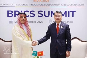 越南政府总理黎明兴与沙特阿拉伯代表团团长、外交大臣费萨尔·本·法尔汉·阿勒沙特亲王会晤。