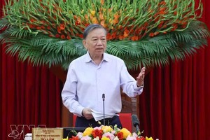 党中央总书记、国家主席、指导委员会主任苏林主持会议。图自越通社
