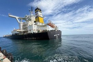 希腊籍矿砂运输船“Merchant Mariner”号，载有超过17.4万吨铁矿石及约3000吨柴油，事发时位于广义省榕桔海域。图片来源：越通社