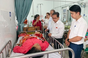 胡志明市越南祖国阵线委员会副主席范明俊看望慰问D.T.T.。图:阮新