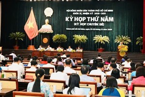 胡志明市人民议会第五次会议。图:越勇