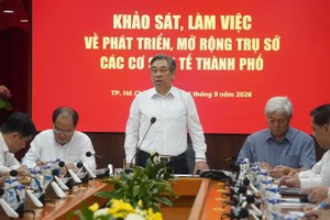 胡志明市市委副书记阮福禄在考察中作总结讲话。图:成安