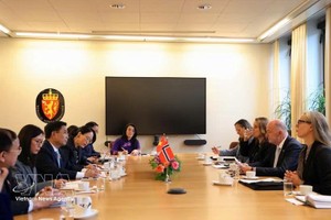 越南国会副主席阮尹英与挪威议会第一副议长莫滕·斯托达伦举行会谈。图自越通社