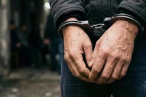 附图。图自互联网