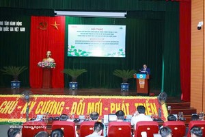 越南国家地雷行动中心常务副主任何廷香发表讲话。图自越通社