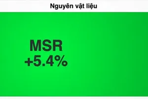MSR股票获外资板块强劲净买入，呈现积极上涨态势。