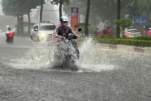 10月8日下午的强降雨导致同奈市镇边坊阮爱国街积水受淹。图:农银