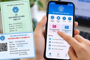 在VssID应用程式上的电子社保簿、电子医保卡。示意图