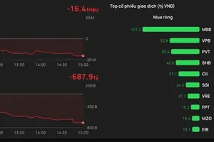 外资板块在HOSE交易所持续净卖出。