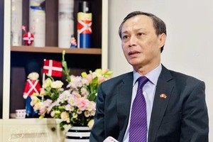 越南前驻丹麦大使梁青毅（2022-2025年任期）。图片来源：越通社