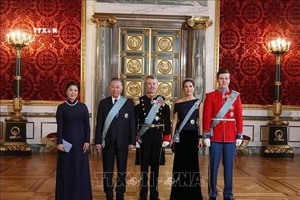 越南党中央总书记、国家主席苏林及夫人同丹麦国王腓特烈十世、王后玛丽及克里斯蒂安王储合影。图自越通社
