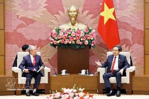 国会主席陈青敏会见由韩国Hansoll纺织公司董事长、韩越友好协会主席李辛贾率领的代表团。图自越通社
