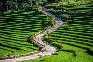"九‧二"国庆假期，浦良生态旅游区一条道路上插满金星红旗吸引游客前来打卡。图自越通社