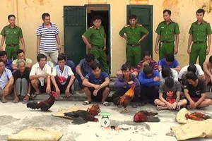 Phó Bí thư Tỉnh ủy An Giang lên tiếng về thông tin con trai đánh bạc