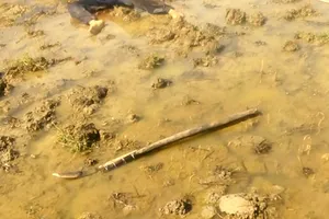 Mâu thuẫn đắp bờ ruộng, 2 chú cháu đâm nhau tử vong