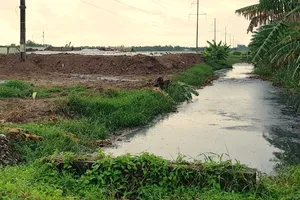 Khu vực cạnh nhà máy xử lý nước thải tập trung tại KCN An Nghiệp, tỉnh Sóc Trăng. Ảnh: TUẤN QUANG