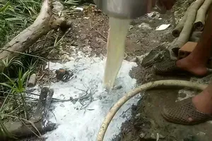 Xót xa cảnh nông dân nuôi bò sữa mang sữa đi đổ bỏ