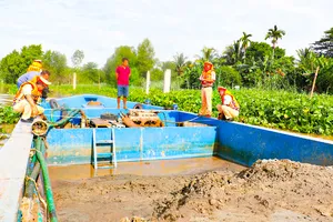 Phát hiện sà lan chở hàng trăm khối cát không rõ nguồn gốc trên sông Hậu