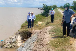 Sóc Trăng: Khẩn trương xử lý 6 điểm sạt lở trên đê sông Hậu