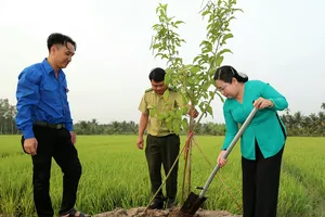 Cần Thơ phát động “Tết trồng cây”, Đồng Tháp rộn ràng thăm đồng đầu năm