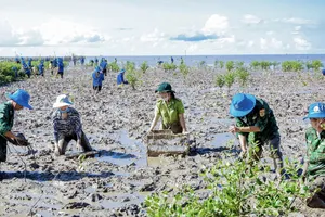 Cần Thơ triển khai trồng rừng, thả 3 triệu con giống về tự nhiên