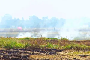 Cụ bà 62 tuổi tử vong vì ngạt khói khi đốt đồng