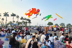 Hàng ngàn người xem thả diều nghệ thuật tại Cần Thơ
