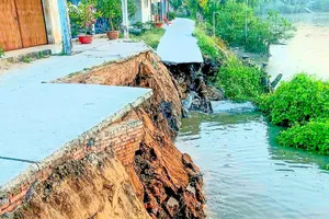 ĐBSCL cần thích ứng chủ động trước các thách thức do thiên tai cực đoan
