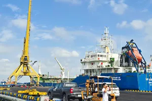 ĐBSCL thiếu hệ sinh thái doanh nghiệp mạnh