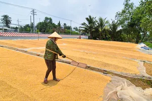 ĐBSCL cần chuyển nguồn lực khoa học công nghệ, đổi mới sáng tạo thành sản phẩm thực tế