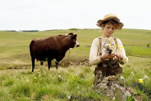 Không gia đình: Từ trang sách đến những thước phim rưng rưng