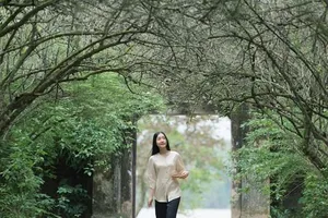 Sao Hàn Quốc tham gia quảng bá văn hóa Việt