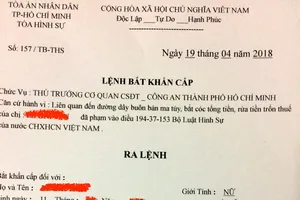 "Lệnh bắt khẩn cấp" mà đối tượng lừa đảo gửi cho chị Y. 
