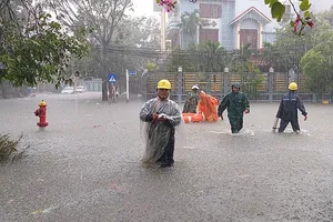 UBND quận Hải Châu huy động lực lượng và phao cứu sinh đến khu vực phường Hòa Thuận Tây để đưa dân ra khỏi vùng nguy hiểm