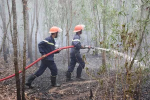 Lực lượng PCCC tỉnh đã có mặt kịp thời để khống chế đám cháy