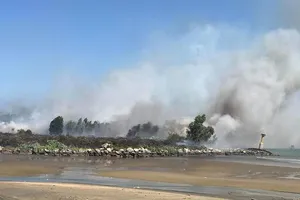Kịp thời dập tắt đám cháy lớn trên bán đảo Sơn Trà 