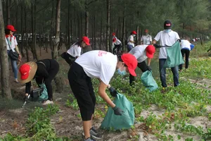 Các tình nguyện viên nhặt rác tại rừng dương ven biển