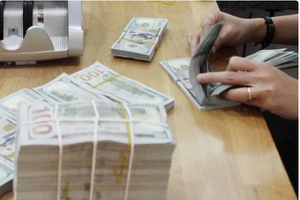 8月14日汇率：美元和人民币价格小幅波动